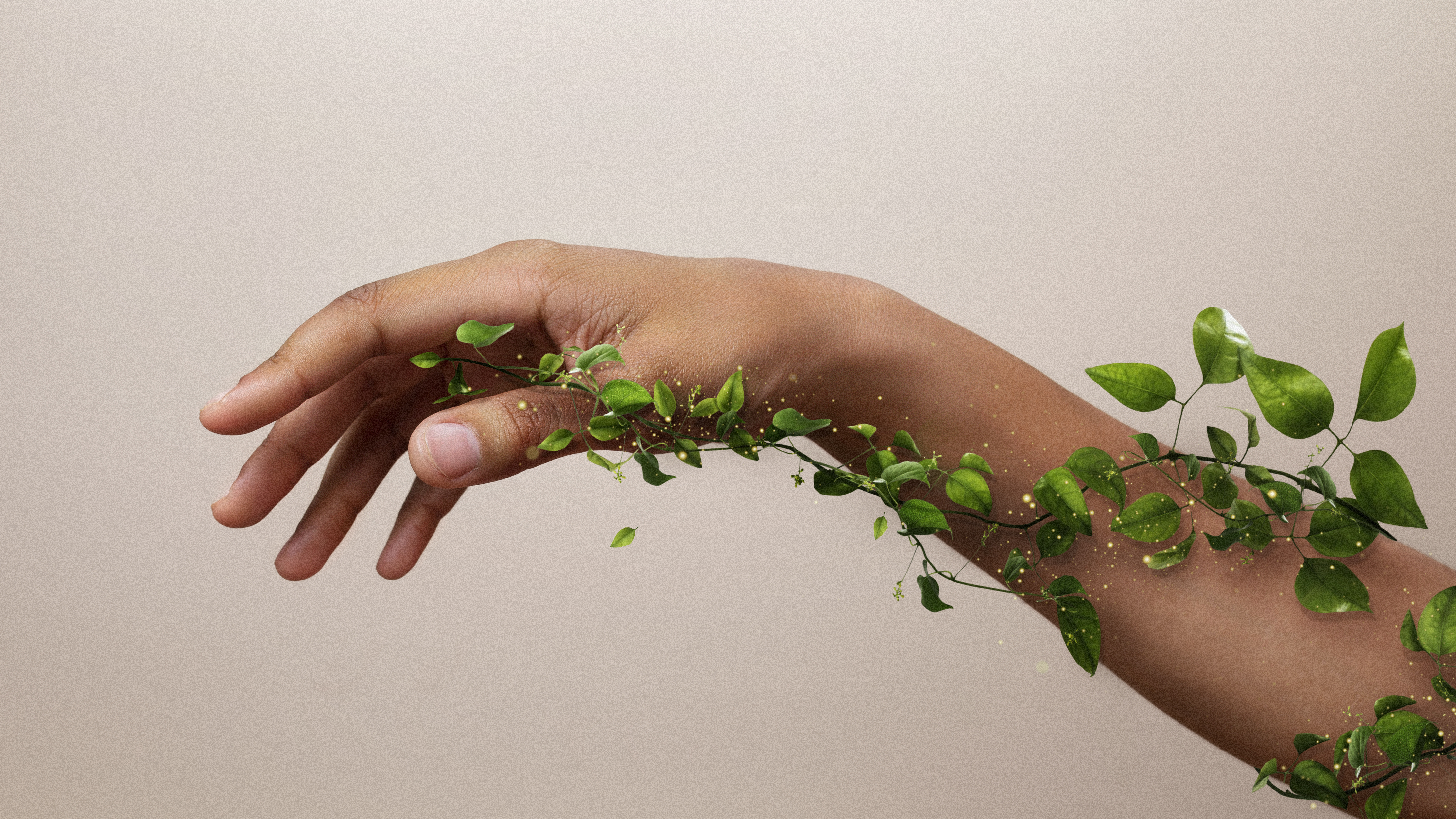Direito Ambiental